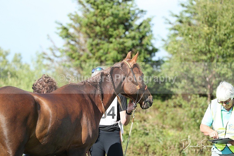 SPXX0084 - Friday vetting
