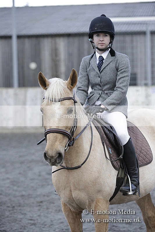 BVRC 050320 0176 - Bourne Valley riding Club Show Jumping Tidworth 08/03/20