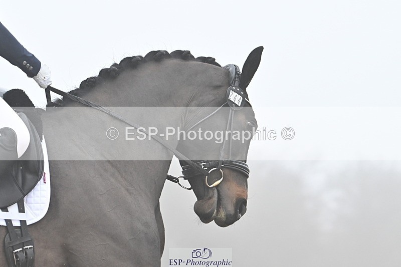 240217A-104030-01160 - 244-Tamara.Egglestone-OLINDE