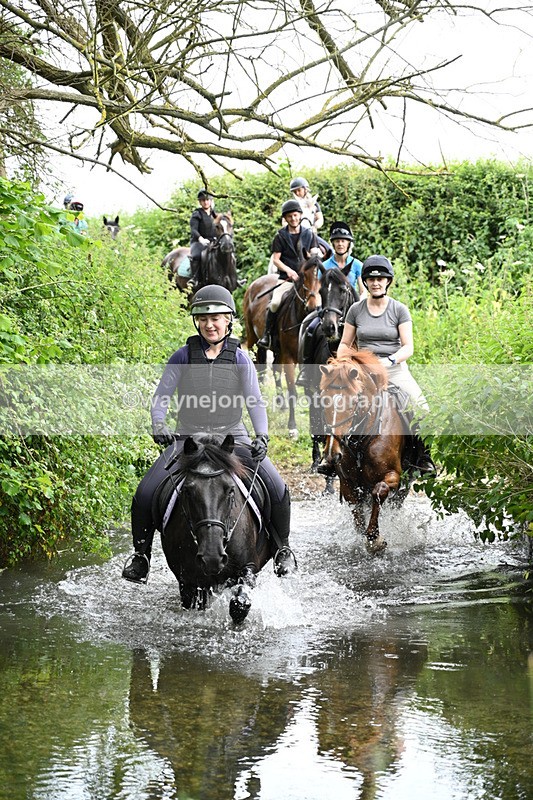 WJ7_1941 - Camera 2 Water Crossing