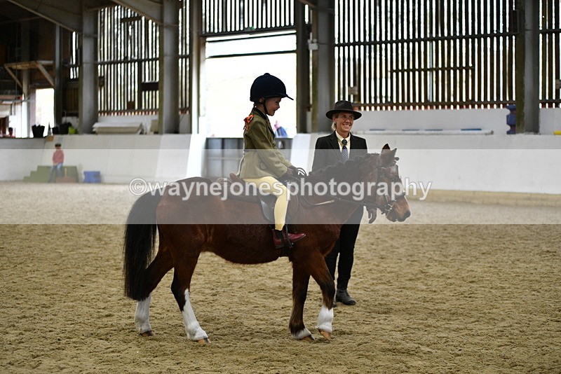 WJ5_7008 - Class 10 Childs Pony
