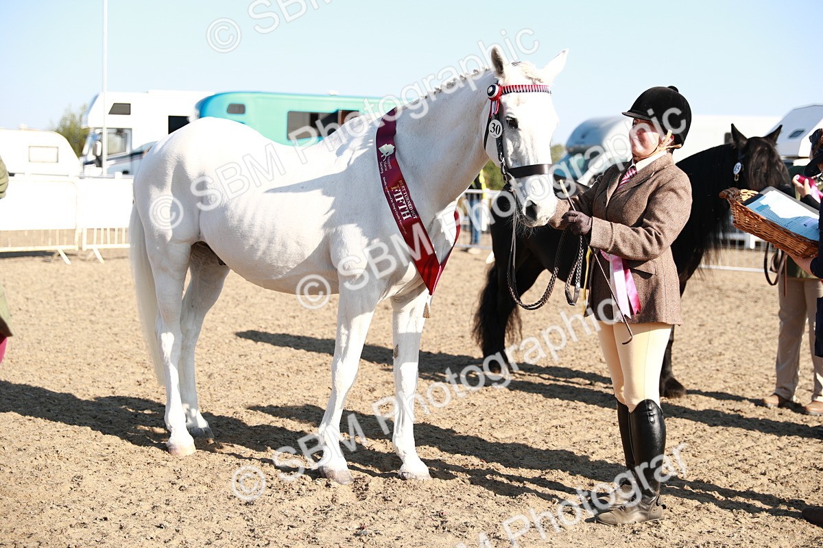 SBM_00129 - Class 40 Best Turned Out IH