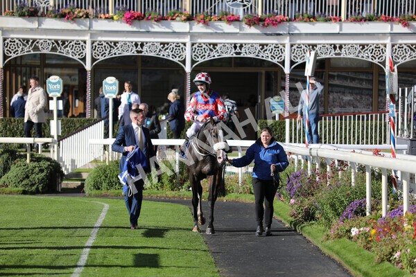 yr08102022r4-45 - Race 4 3.15pm The Coral Sprint Trophy