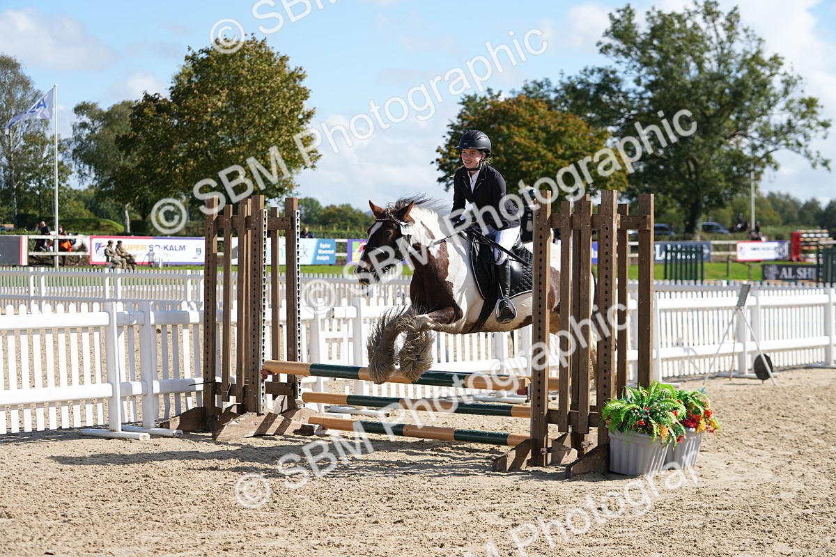 SBM_46599 - J7 - Junior Pony 60cm Championship