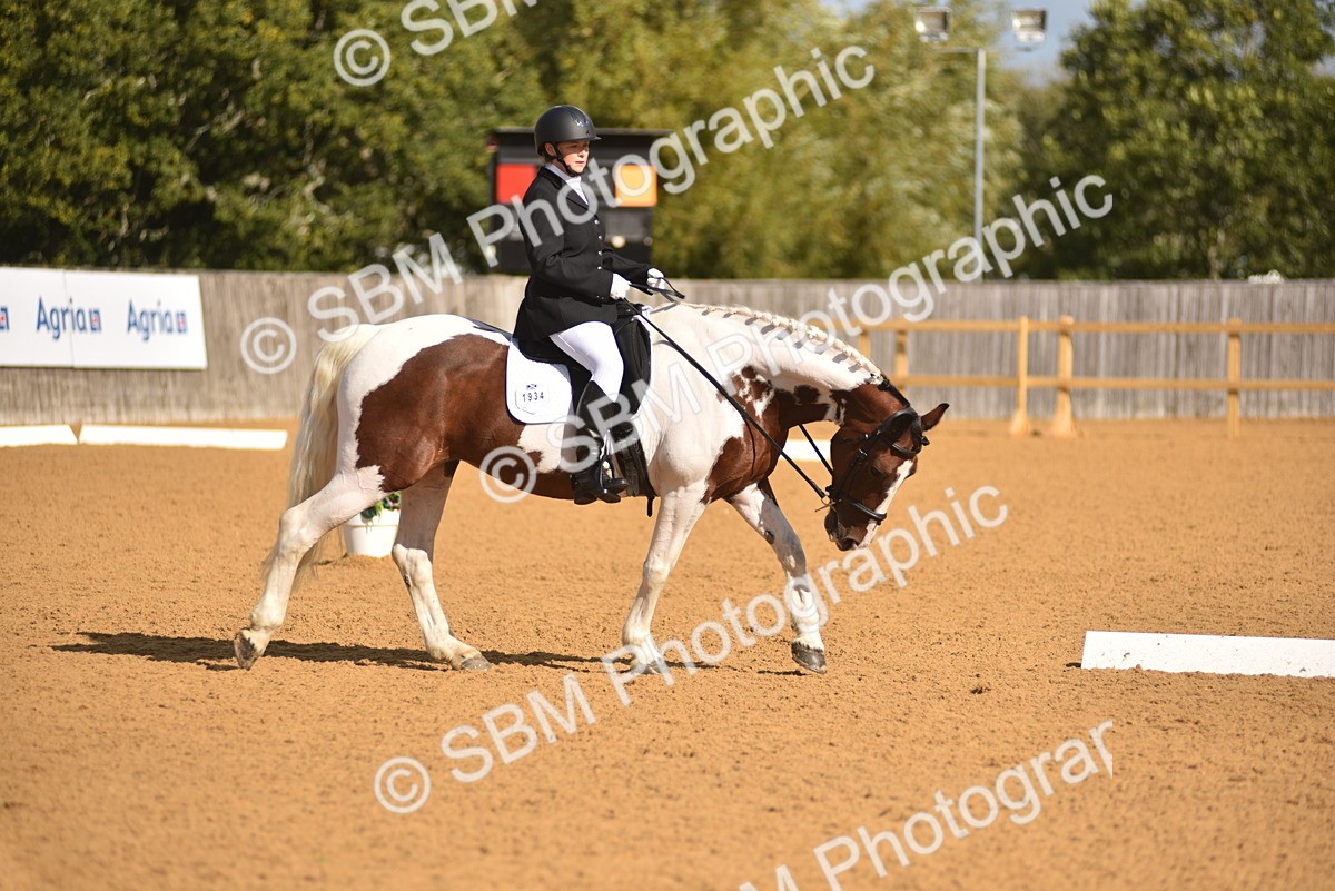 SBM_03188 - D4 - Small Tour Championship Intro 4