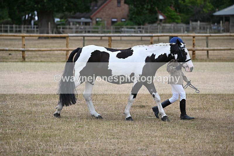 WJ6_7874 - Class 10 Coloured in Hand