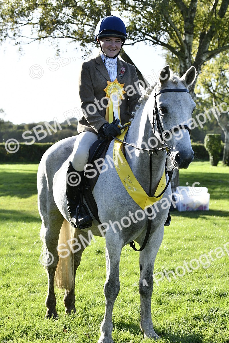 SBM_52267 - S35 - Working Hunter & Working Show Horse