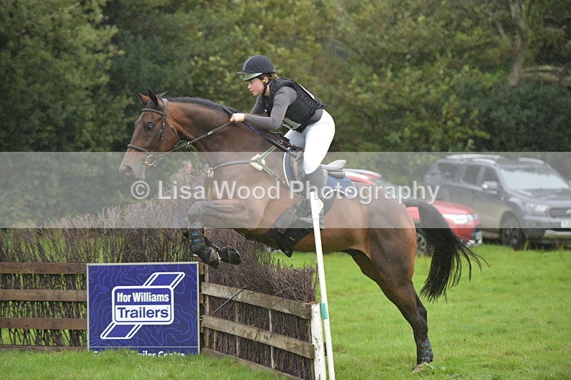 RAY_0214 - Class 4: 80cm: Double of Brushes