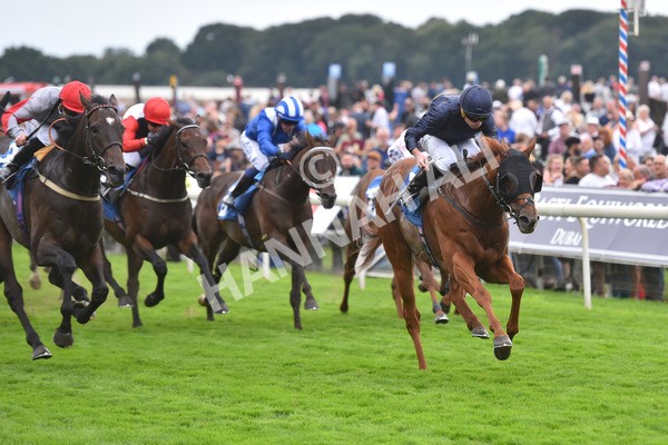 yr20082021r7-34 - Race 7 5.10pm Sky Bet Mile
