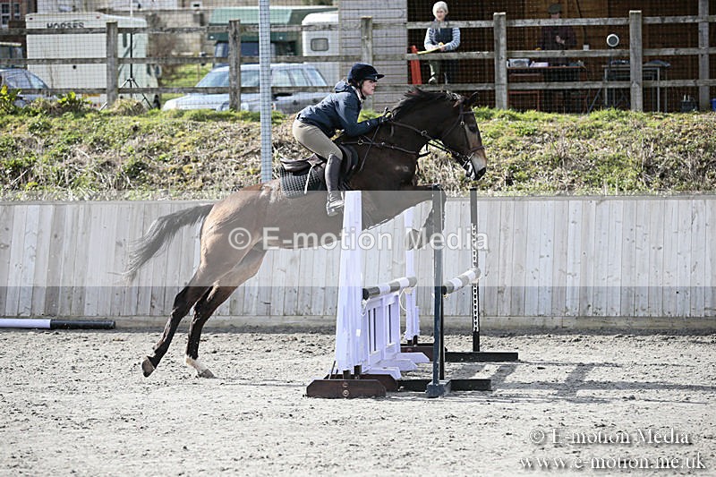 BVRC SJ 170319 552 - Bourne Valley Riding Club Showjumping 17/03/19