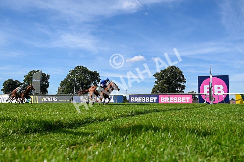 160924-Race 4-Watching Stars-5151 - Race 4