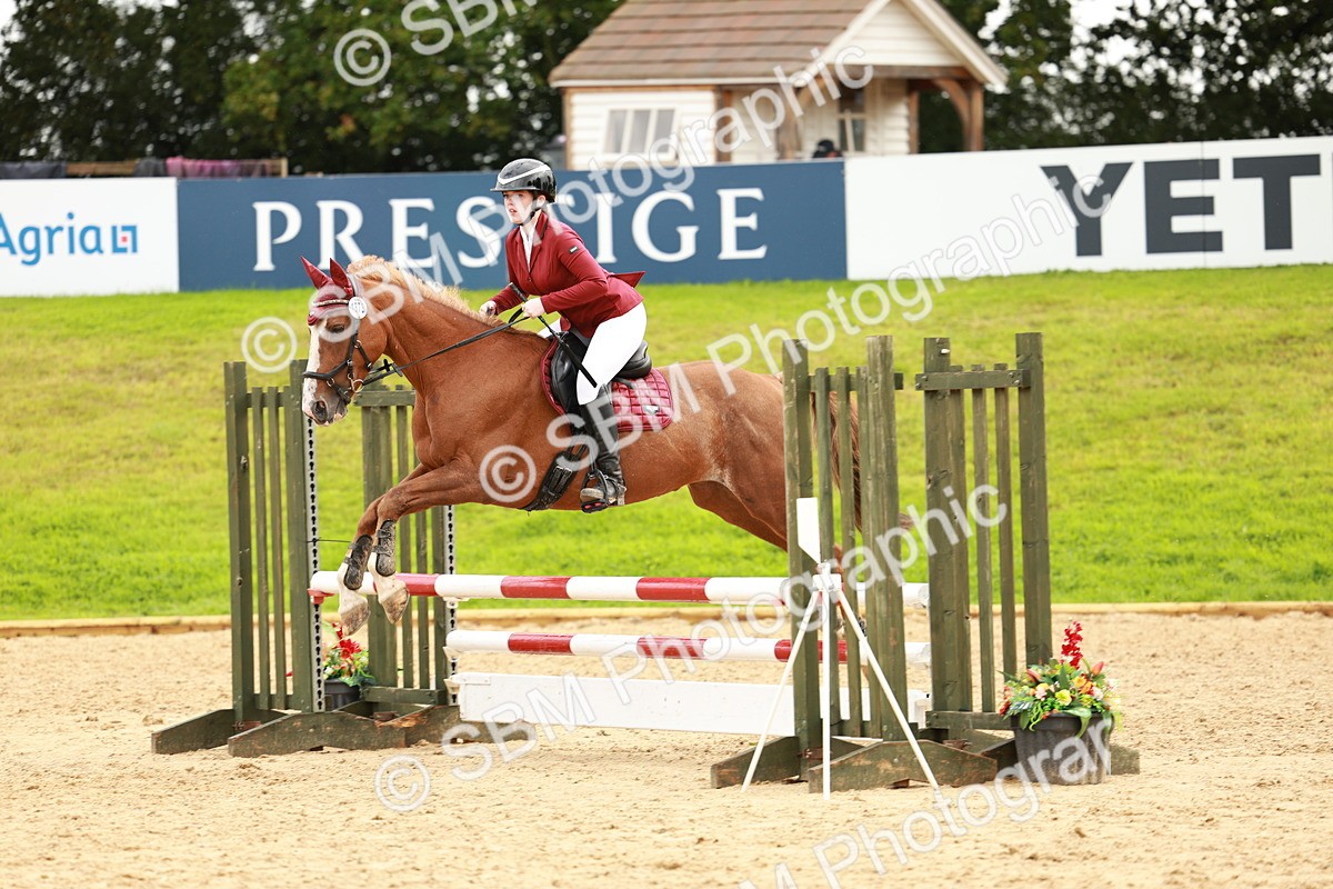 SBM_38447 - Supreme Championship 80cm 85cm