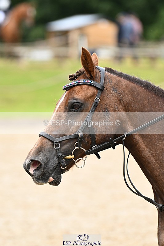 240824X-124011-25566 - 70cm Jump Off