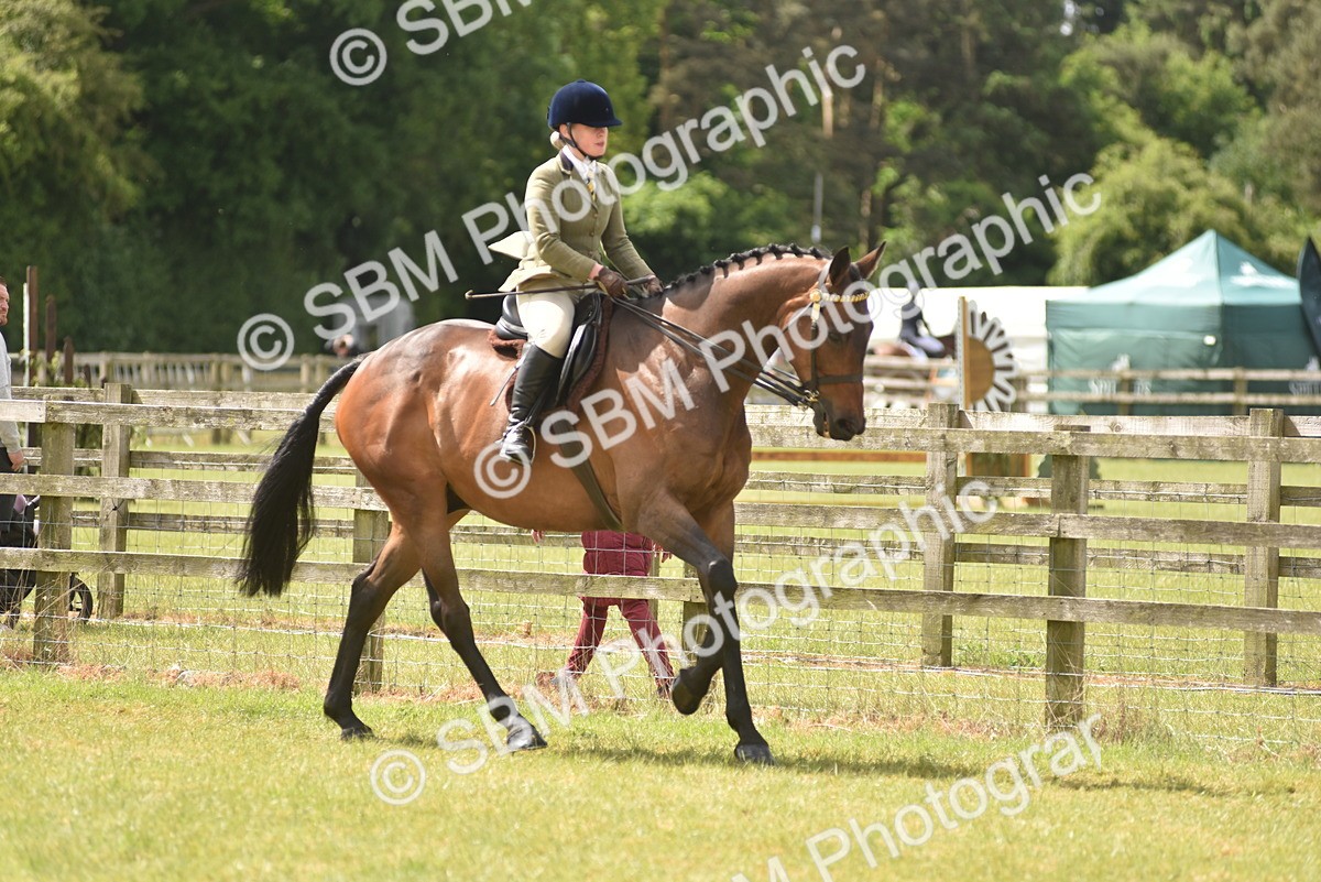 SBM_15088 - Class 113-114 - Retraining of Racehorses Ridden