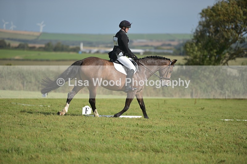 RAY_8032 - Class 2B: Trekenning Open: Dressage