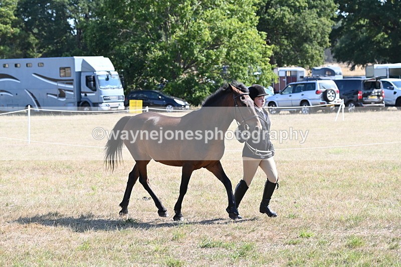 WJ6_7532 - Class 34 Judges Choice
