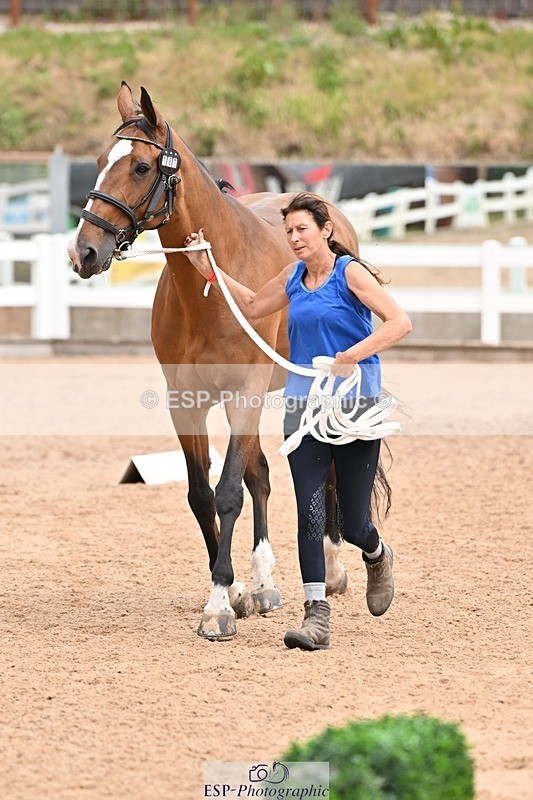 250716-144438-01352 - Trot Up 2.30 to 3.30