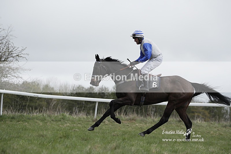 PtP 260323 0680 - New Forest Hounds Point-to-Point Larkhill 26/03/23