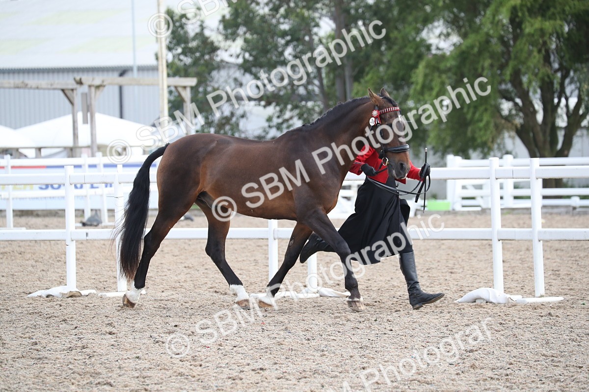 SBM_23063 - Class 605 - 2025 Area - IH Veteran