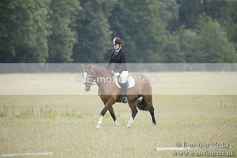 B230619-0656 - Bourne Valley Riding Club Summer Show 23/06/19
