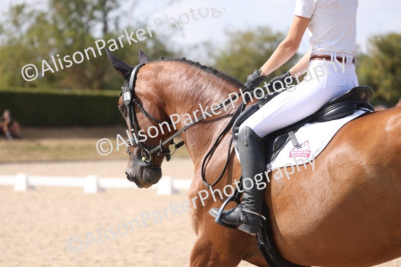 20260815-1078 - Class 6 - Novice 2