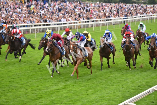 yr19082021r3-42 - Race 3 3.00pm Clipper Logistics Stakes
