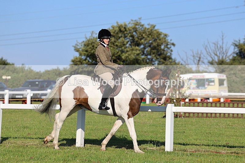 IMG_1209 - Class 27: Ridden Plaited Coloured Horse