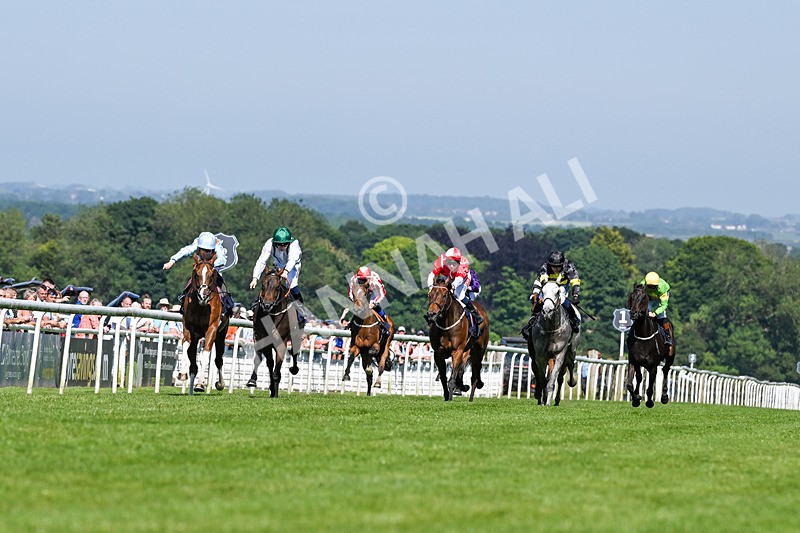 250624-Race 6-Cockalorum-9345 - Race 6