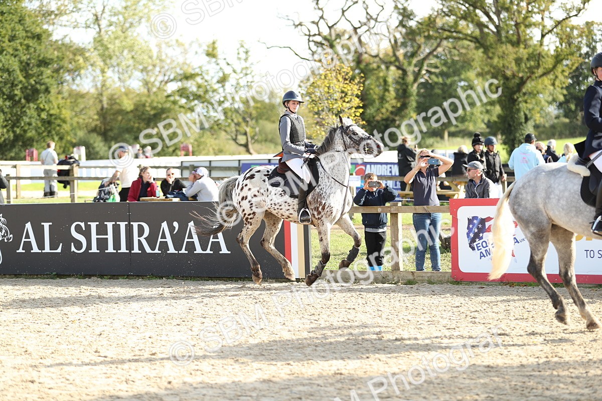 SBM_49690 - J22 - Junior Horse 65cm Championship