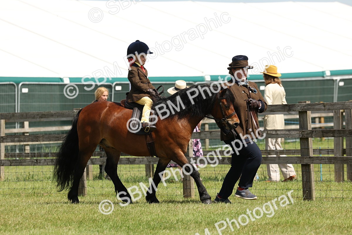 SBM_05178 - Class 24-25 - Mountain & Moorland In Hand Lead Rein and First Ridden