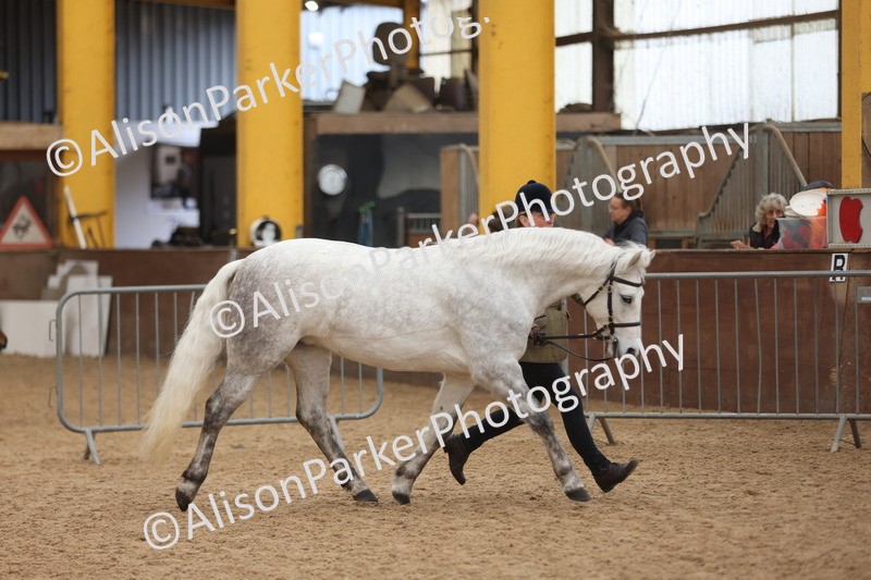 20251109-0896 - Class 26 - 2 and 4 Year Olds