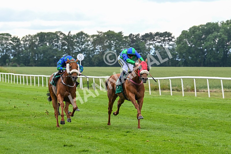 170625-Race 4-Lord Abama-5157 - Race 4