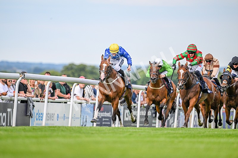 220724-Race 2-Refuge-2667 - Race 2