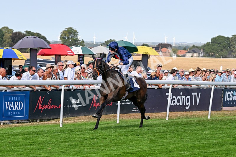 130826-Race 5-Wardlaw-9473 - Race 5 16.15pm Middle Distance Handicap