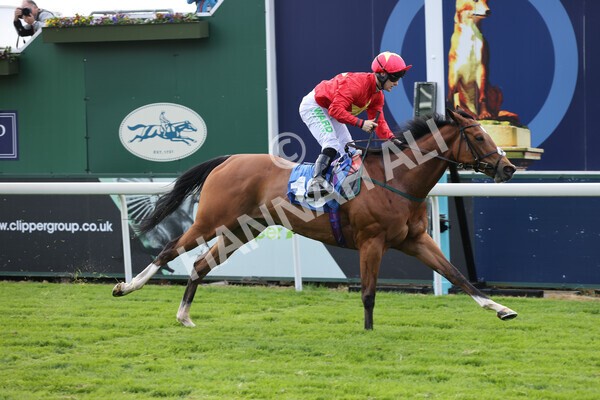 yr11052022r3-21 - Race 3 3.00pm 1895 Duke of York Clipper Logistics Stakes
