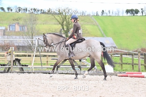 BPP_8003 - SUPREME CHAMPIONSHIP