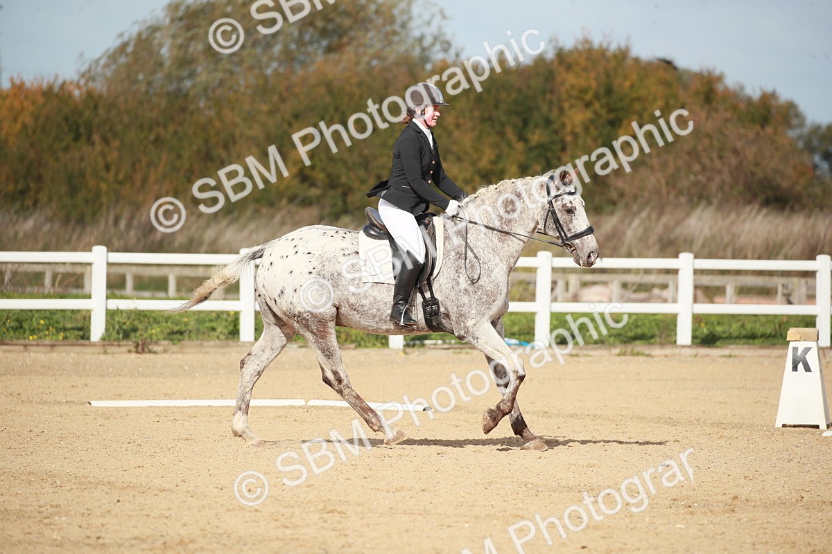 SBM_001696 - Class 4 - Novice 5