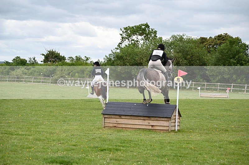 WJ6_3638 - Class 5 80cm Pairs