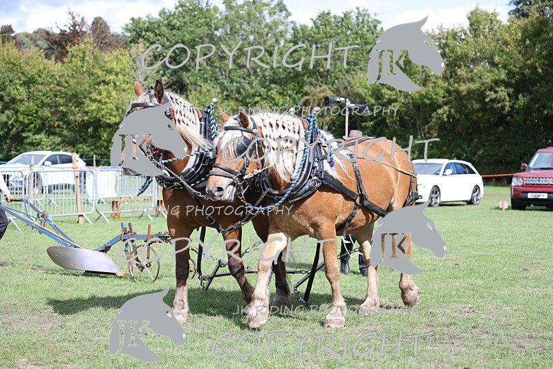 APP_3600 - Class 7 Turnout for a single or pair