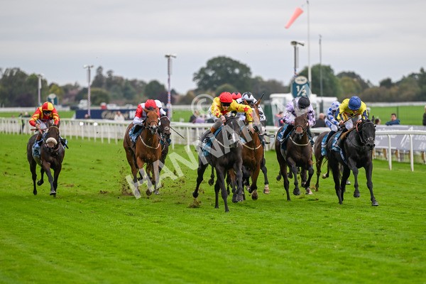 101025-Race 5-Go Vince Go-6959 - Race 5 Parsonage Hotel And Cloisters Spa Nursery Handicap at York