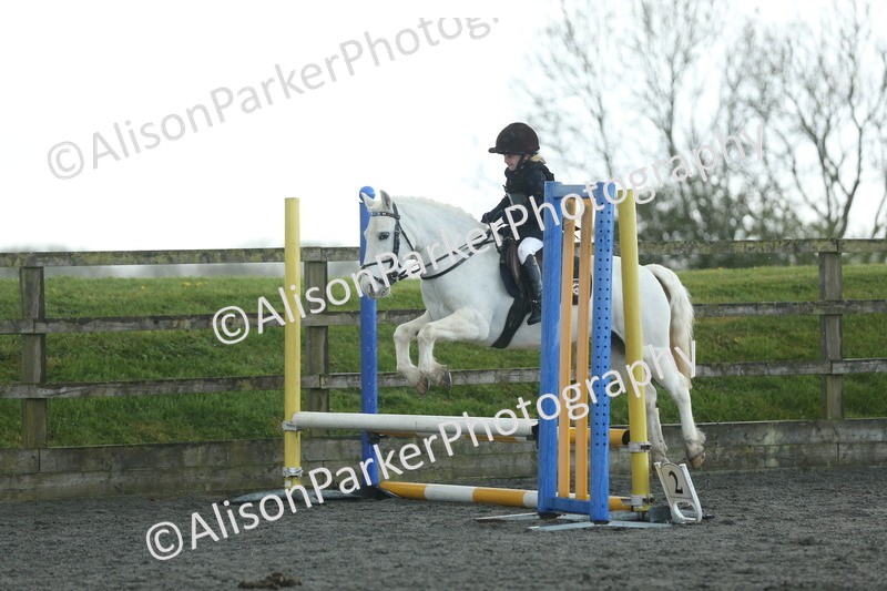 20260412-1930 - Show Jumping