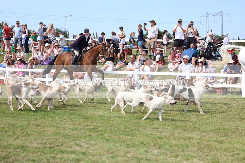 3E7A0159 - Parade of Hounds