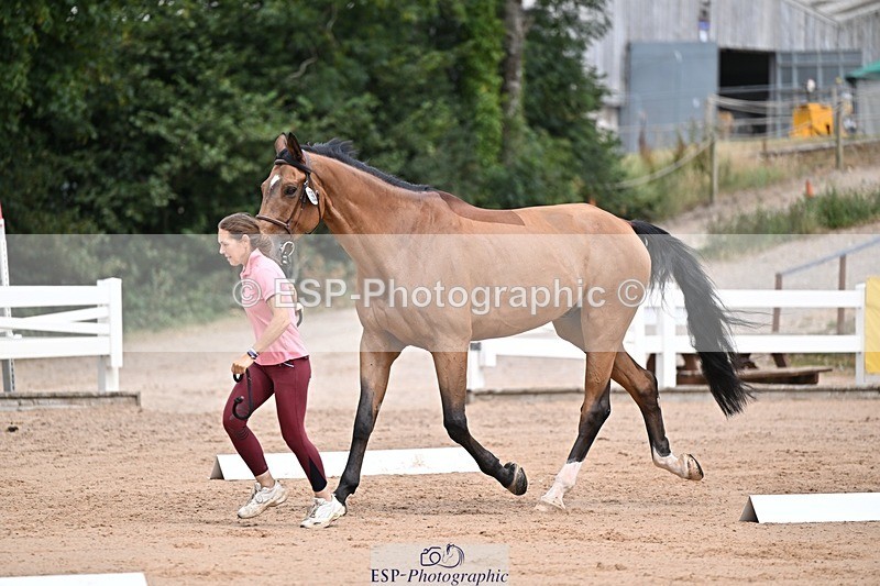 250716-132852-00548 - Trot Up 12.30 to 1.30