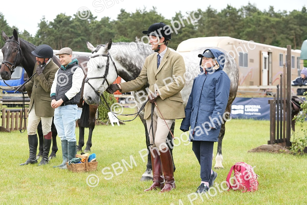 SBM_12740 - Class 97-98 - LIHS BSHA Rising Star Working Show Horse Hunter