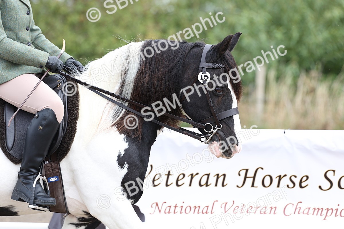 SBM_01406 - Class 51 - Best Turned Out Ridden