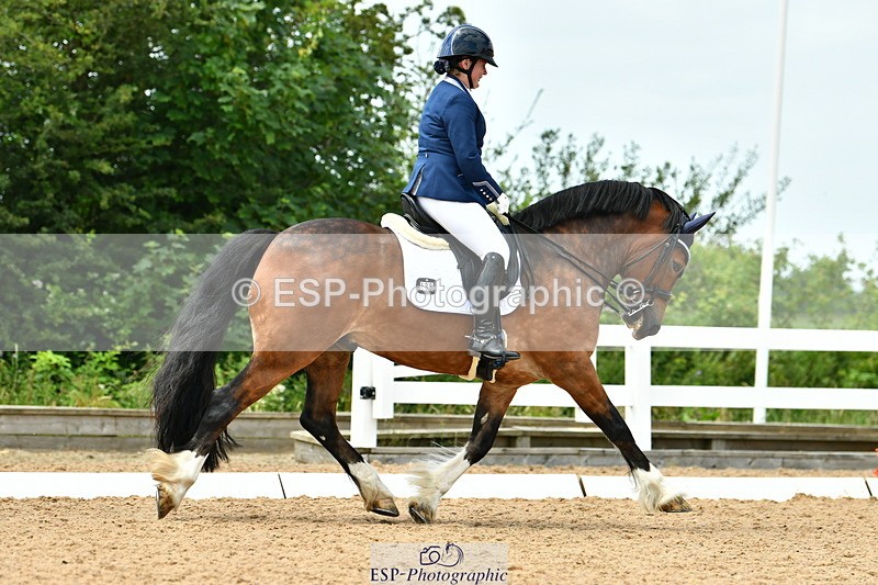 230702A-140757-10582 - Cls 32 Medium 73