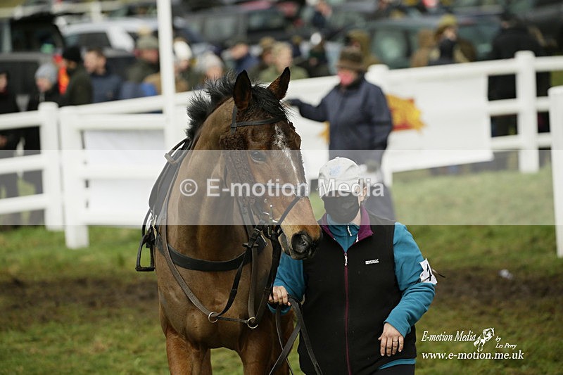 PtP 020122 503 - Larkhill Racing Club Point-to-Point 02/01/2022
