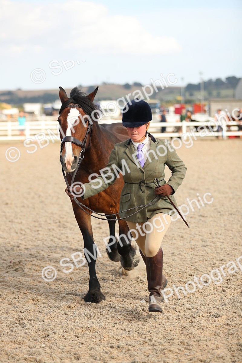 SBM_08625 - Class 28 - IH Veteran Horse