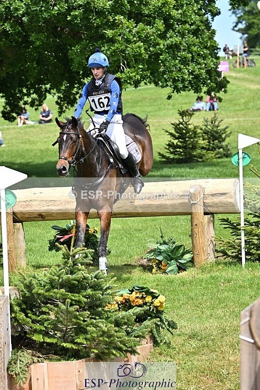 240525-140953-14731 - 162-HAZZLE_DAZZLE-Henry_Hobby