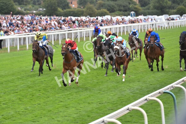 yr19082022r4-80 - Race 4 3.35pm Coolmore Wootton Bassett Nunthorpe Stakes (British Champion Series Race)